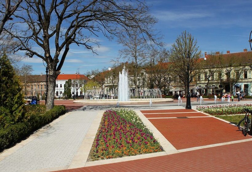 Одноместный Номер Basic, Central