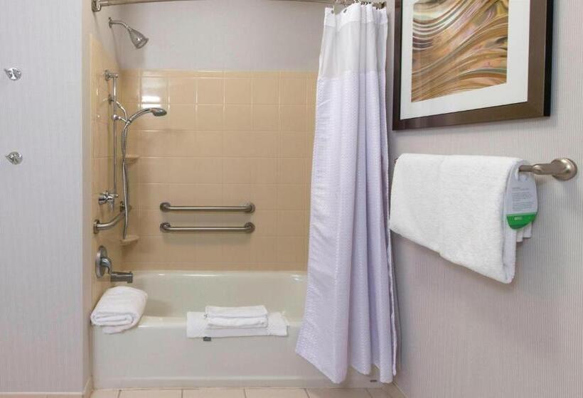 带大床的标准间, Courtyard By Marriott Montgomery Prattville
