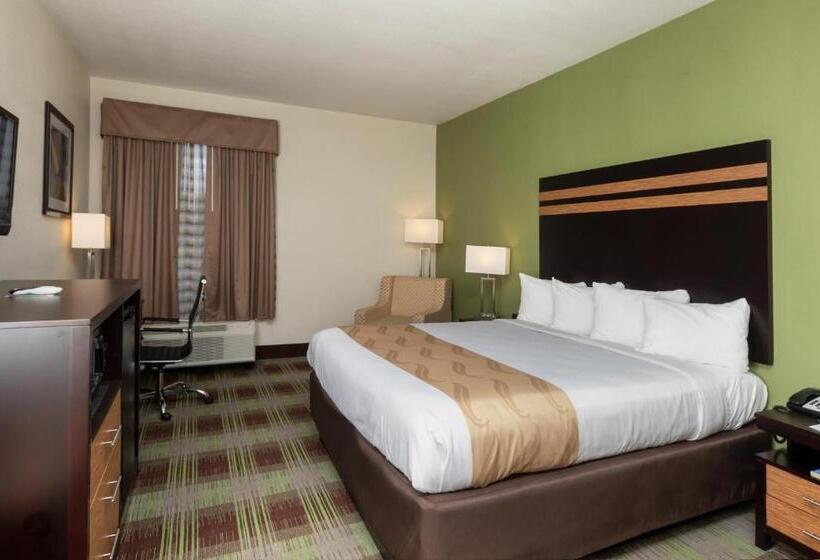 장애인을 위한 킹사이즈 침대 스탠다드 룸, Quality Inn & Suites