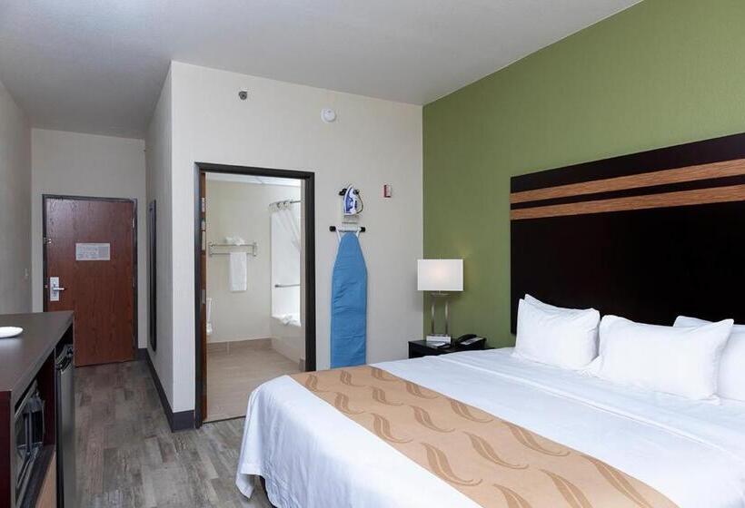 장애인을 위한 킹사이즈 침대 스탠다드 룸, Quality Inn & Suites