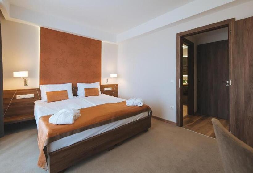 Номер Премиум, Imola Hotel Platán