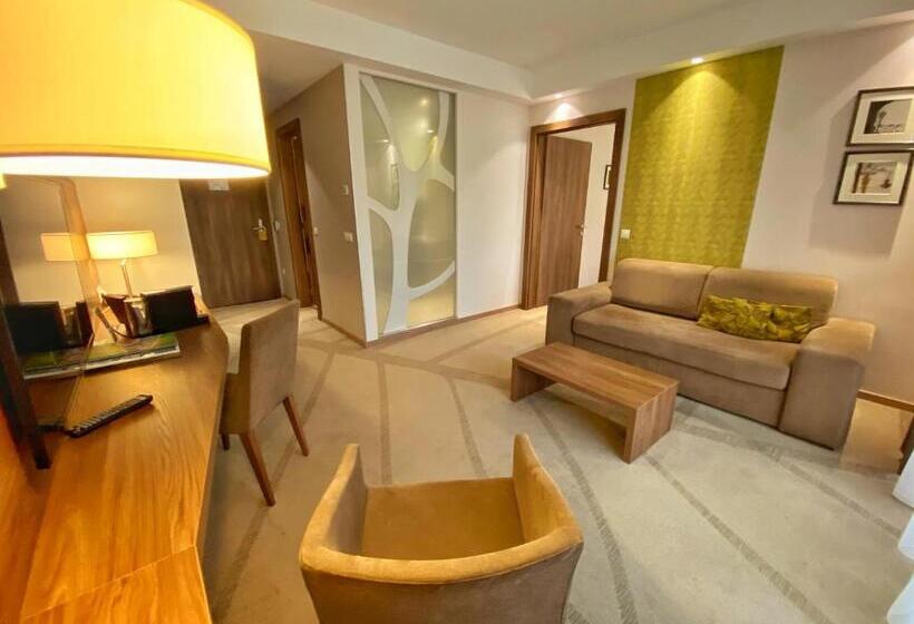 Полулюкс, Imola Hotel Platán