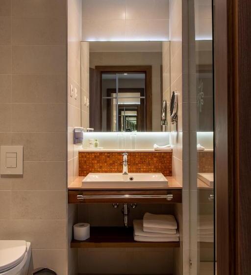 Номер Стандарт Внутренний, Imola Hotel Platán