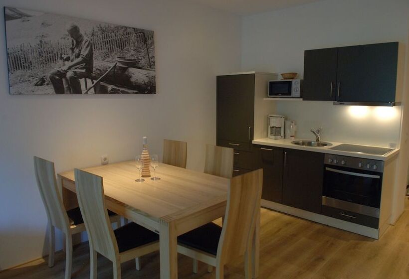 Апартаменты Superior 2 Спальни, Aparthotel Alpinresort Damüls
