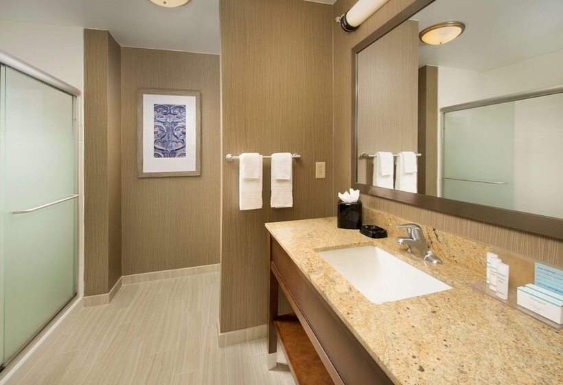 Стандартный Номер Кровать Кинг, Hampton Inn & Suites San Antoniodowntown/market Square