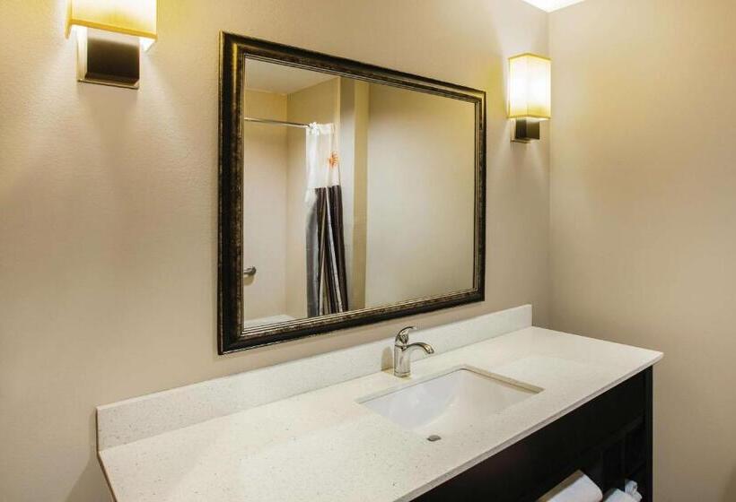 장애인을 위한 킹사이즈 침대 스탠다드 룸, La Quinta By Wyndham Baton Rouge Denham Springs