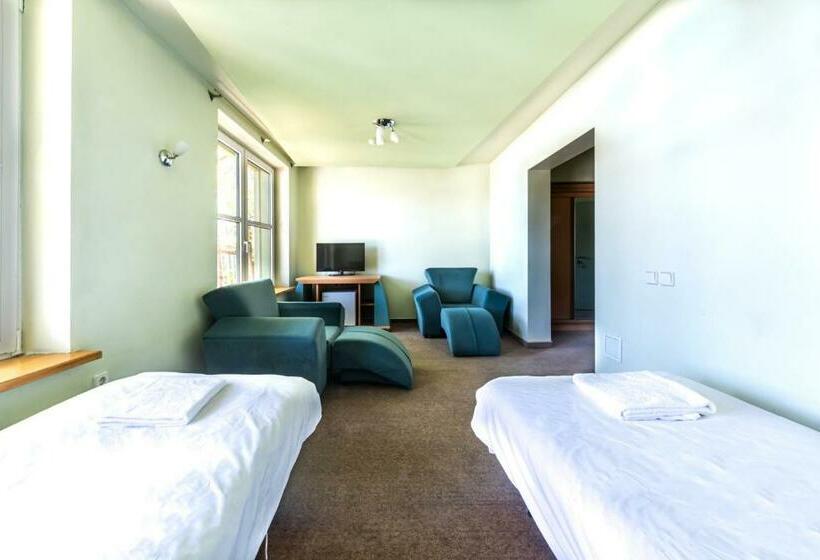 اتاق استاندارد, Basanavičiaus G. 45 Apartments