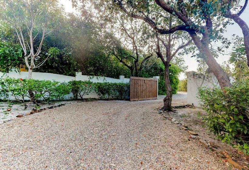 Студия Стандарт, Garden @ Casa Nettuno