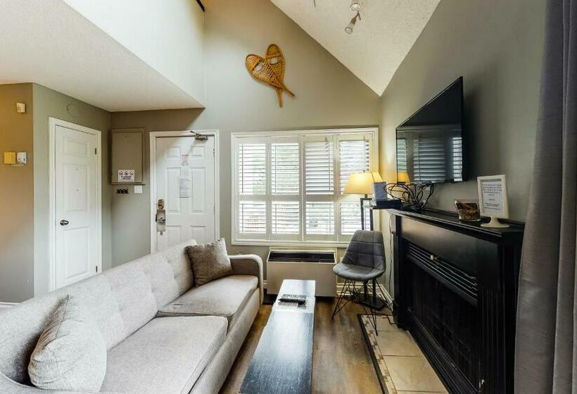 Студия Стандарт, Condo 211 At North Creek Resort