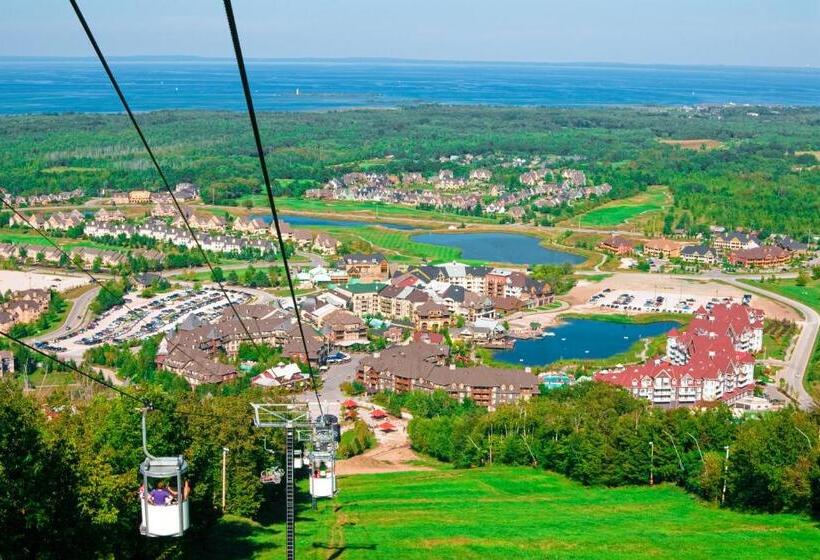 Студия Стандарт, Condo 211 At North Creek Resort