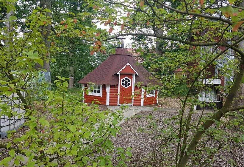 Quarto Superior Individual, Kräuterhotel & Restaurant Heidejäger