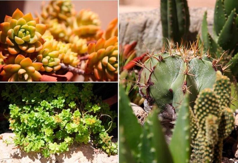 Quarto Triplo Estandar, Antica Dimora   Ospitalità E Tradizione