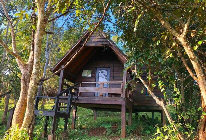 Номер Стандарт Вид на Горы, Nature Lodge