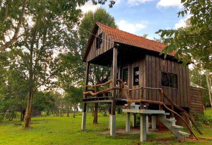 Семейный Номер Вид на Горы, Nature Lodge
