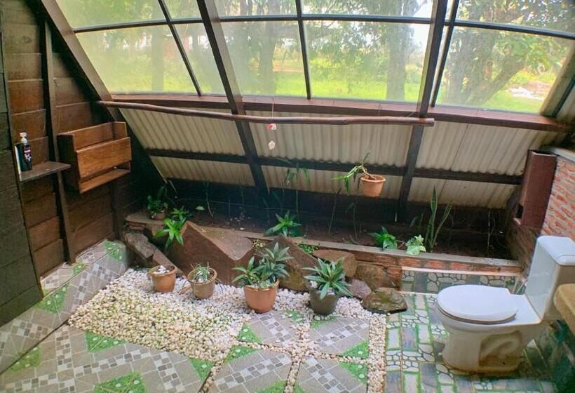 Семейное Бунгало, Nature Lodge