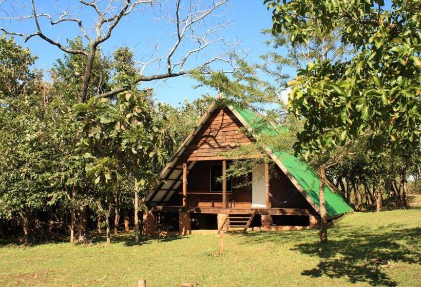 Семейное Бунгало, Nature Lodge