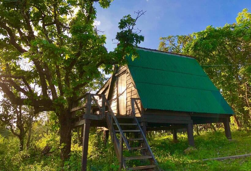 Бунгало Стандарт, Nature Lodge