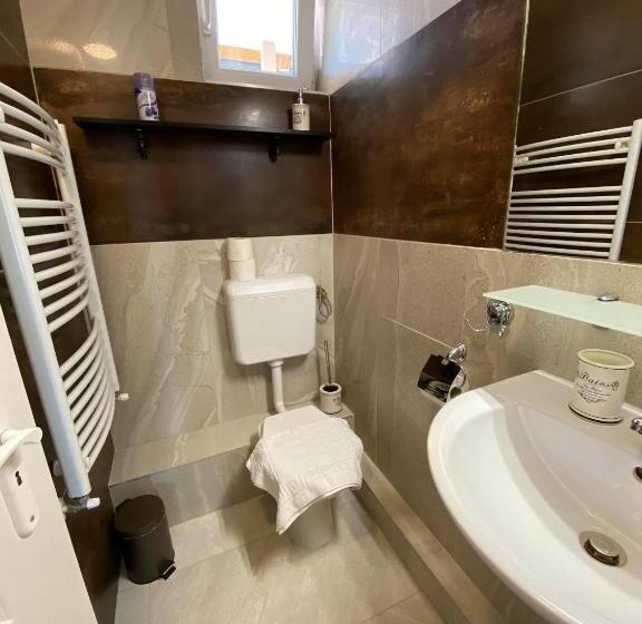 Апартаменты 1 Спальня Нижний Этаж, Platán Apartmanház