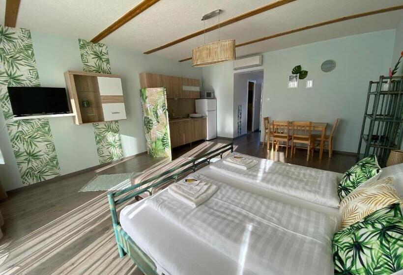 Апартаменты Deluxe 1 Спальня, Platán Apartmanház