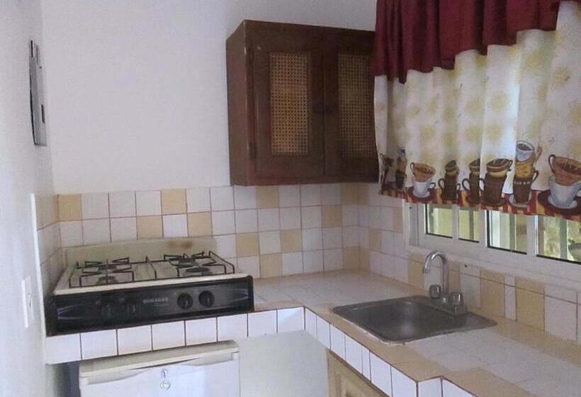 Apartamento Deluxe 1 Dormitório, House Jardin Del Caribe