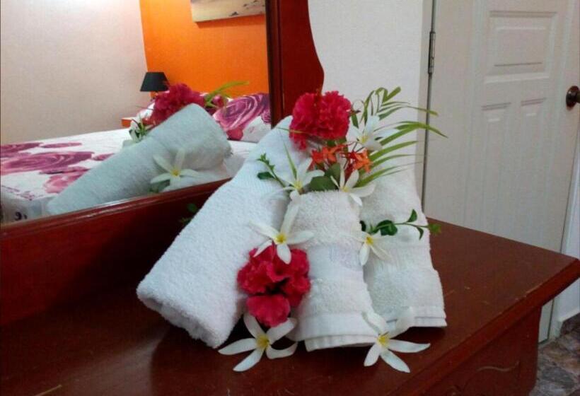 Apartamento 2 Dormitórios, House Jardin Del Caribe