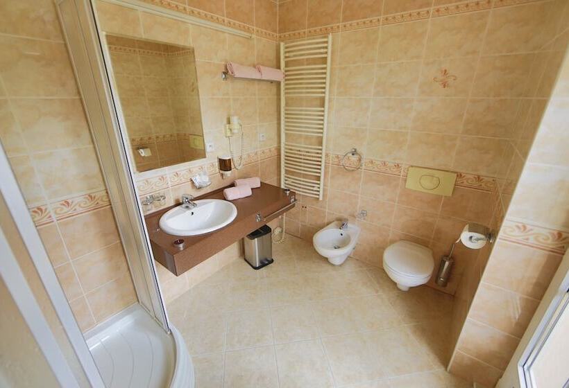 Quarto Estandar, Lázeňská Léčebna Mánes