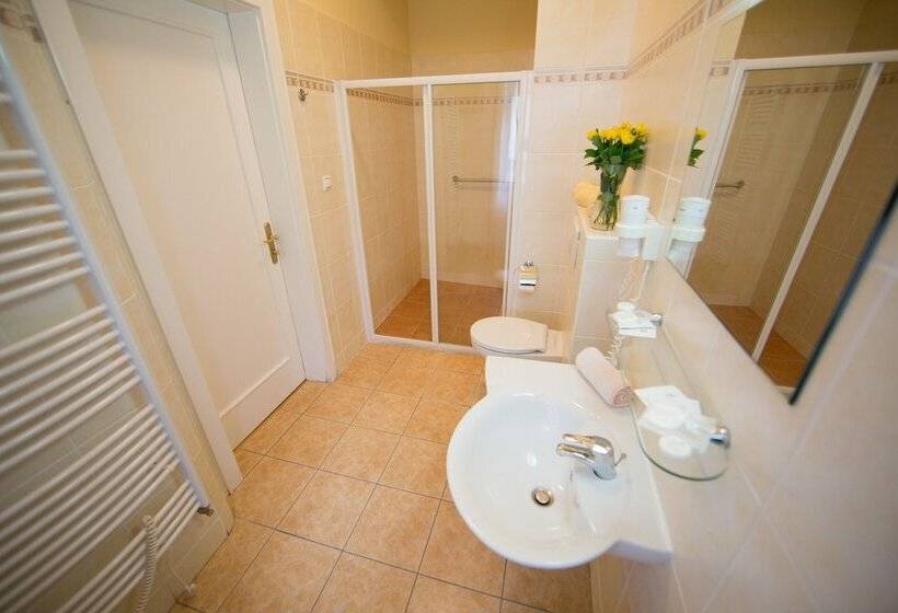 Quarto Deluxe, Lázeňská Léčebna Mánes