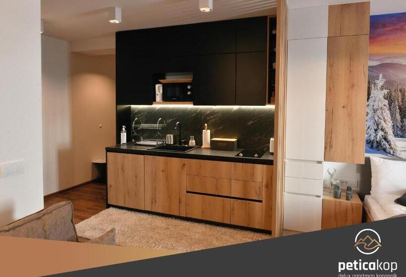 استودیو استاندارد با تخت کینگ, Apartman Petica Kop A8 Kopaonik