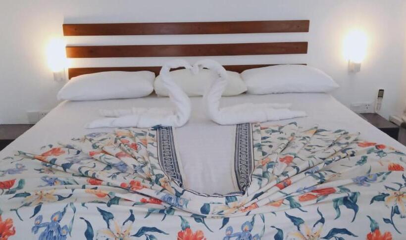 اتاق لوکس خانوادگی, Petit Guest House