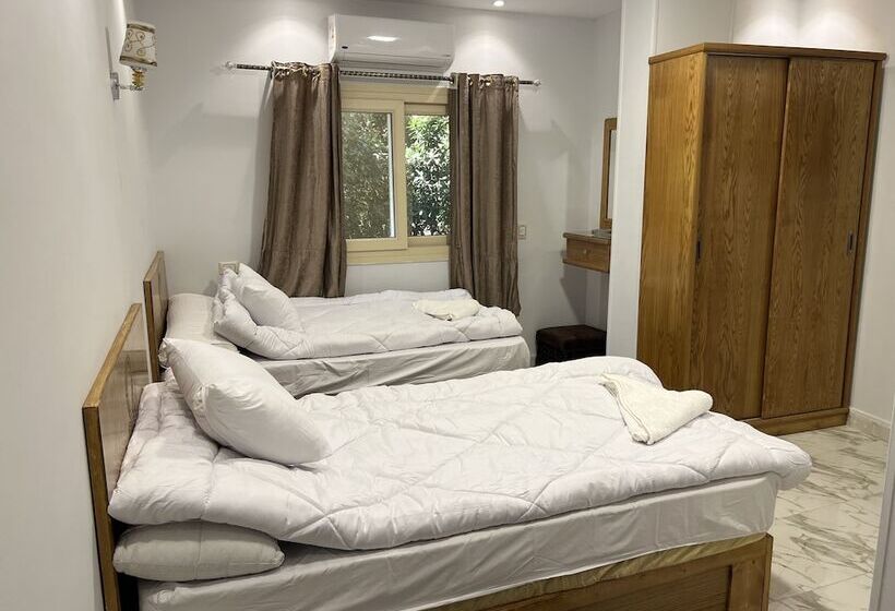 اتاق استاندارد, Life Pyramids Inn