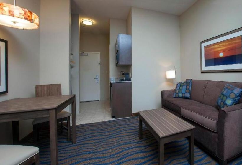 Номер Стандарт Кровать Кинг Адаптированный для Инвалидов, Holiday Inn Express Hotel & Suites Morgan City  Tiger Island, An Ihg
