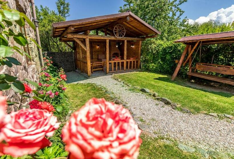 Апартаменты 1 Спальня, Casa De Vacanta Sadu