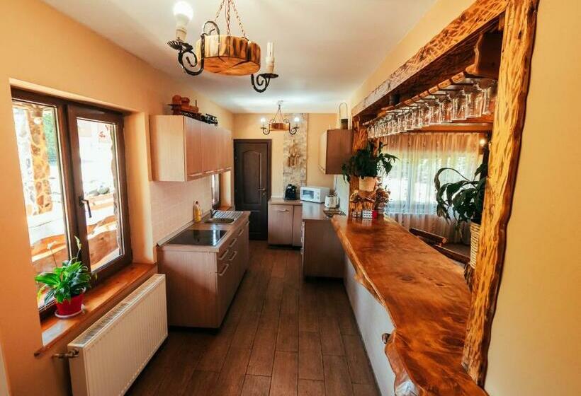 Апартаменты 1 Спальня, Casa De Vacanta Sadu