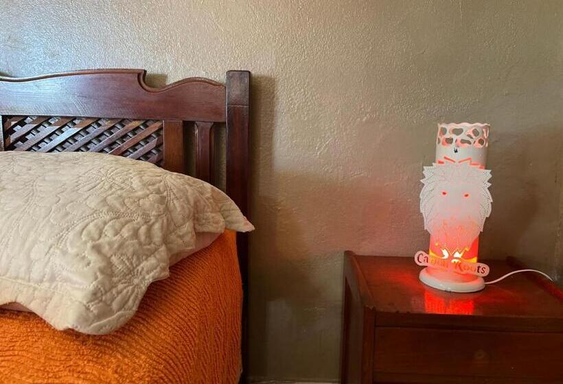 Quarto Estandar, Canoa Roots Camping