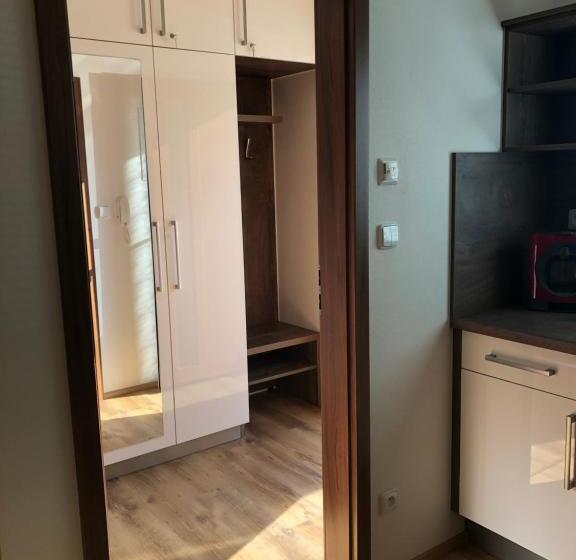 آپارتمان 1 خوابه با تراس, Apartmány Koněvova