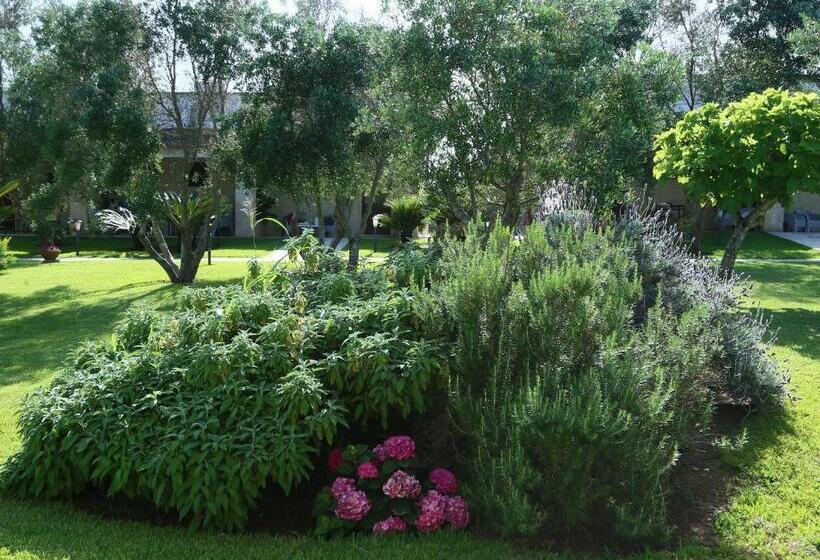 اتاق استاندارد چهار تخته, La Casina Di Borgagne