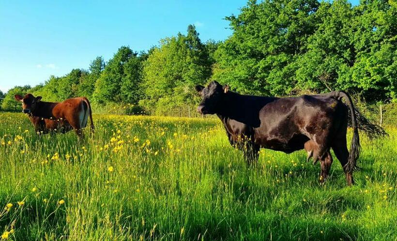 Номер Стандарт, La Ferme De Piardiere
