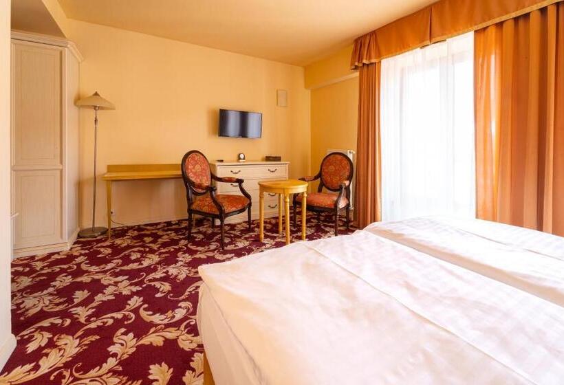 经典单人间, Spa Hotel Vita