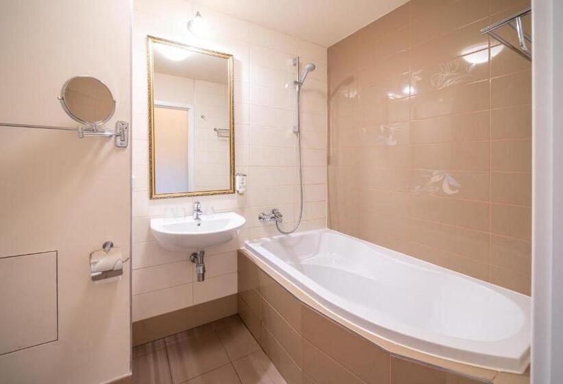 经典单人间, Spa Hotel Vita