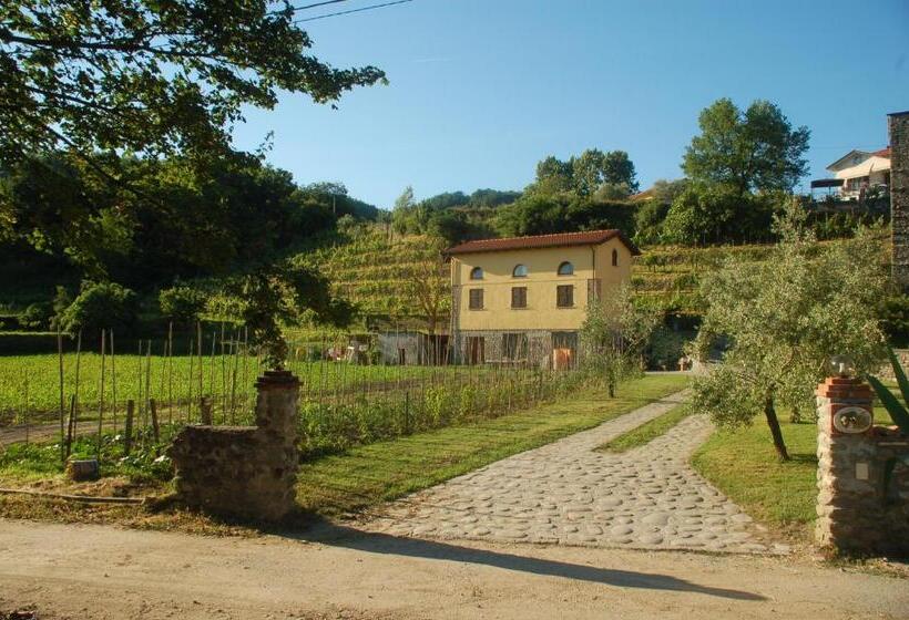 Апартаменты 1 Спальня, Agriturismo Il Poderetto