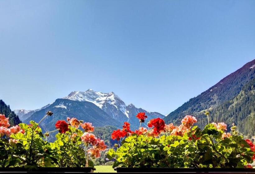 آپارتمان سوپریور 2 خوابه, Gästehaus Oblasser