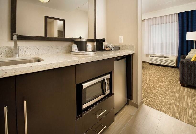 Номер Стандарт Кровать Кинг Адаптированный для Инвалидов, Hampton Inn & Suites Baltimore/woodlawn