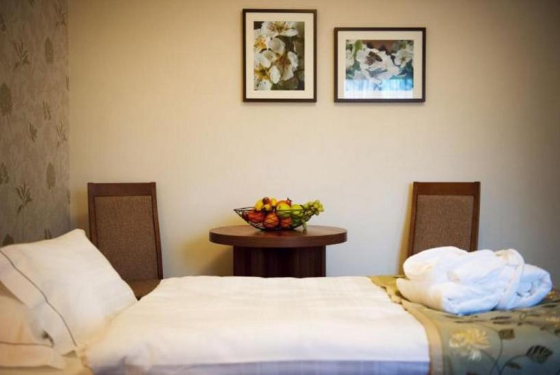 غرفة قياسية, Wellness Hotel Spark