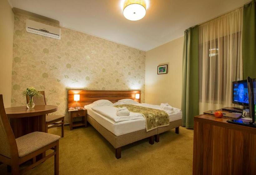 스탠다드 룸, Wellness Hotel Spark
