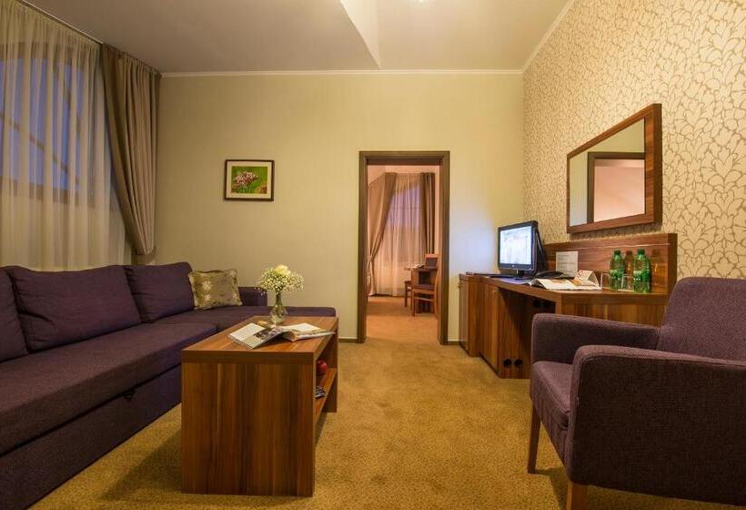 수피리어 스위트, Wellness Hotel Spark