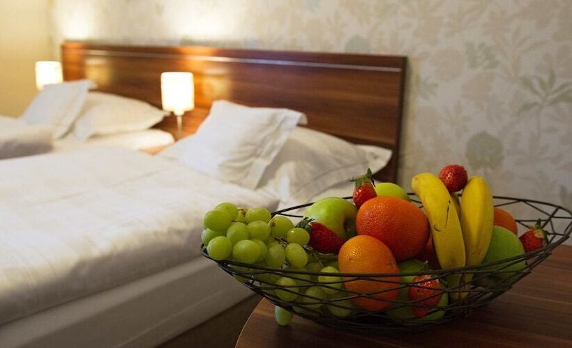 스탠다드 룸, Wellness Hotel Spark
