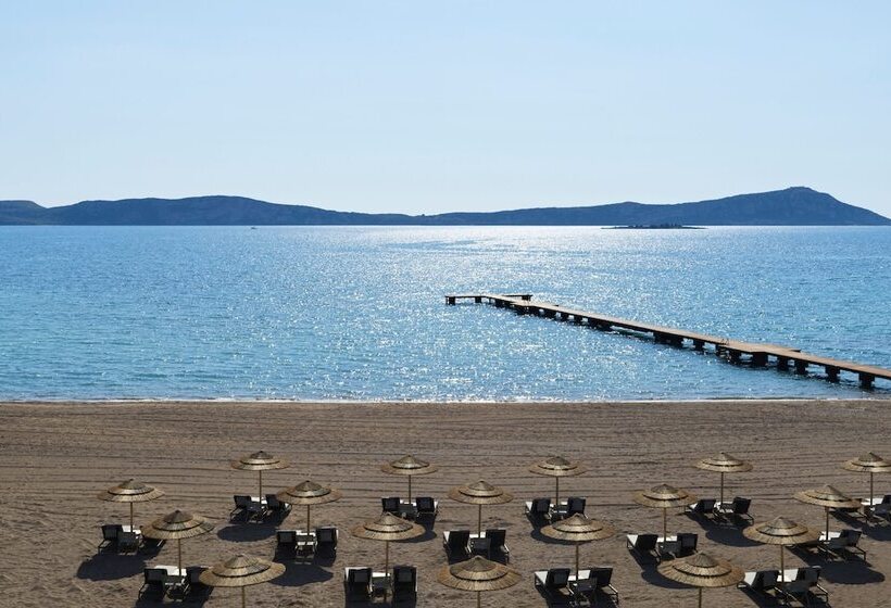 Люкс 2 Спальни, W Costa Navarino