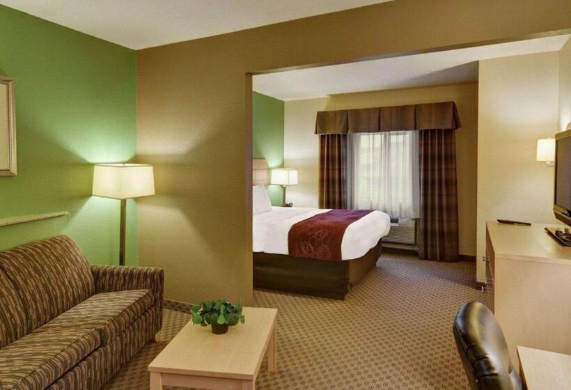 Студио Стандарт Кровать Кинг, Comfort Suites Lindale