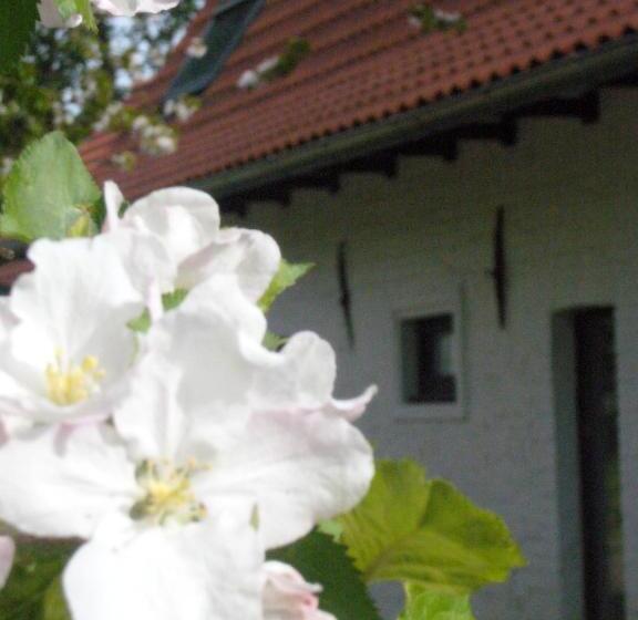 Номер Стандарт, La Ferme Blanche, The Originals Relais