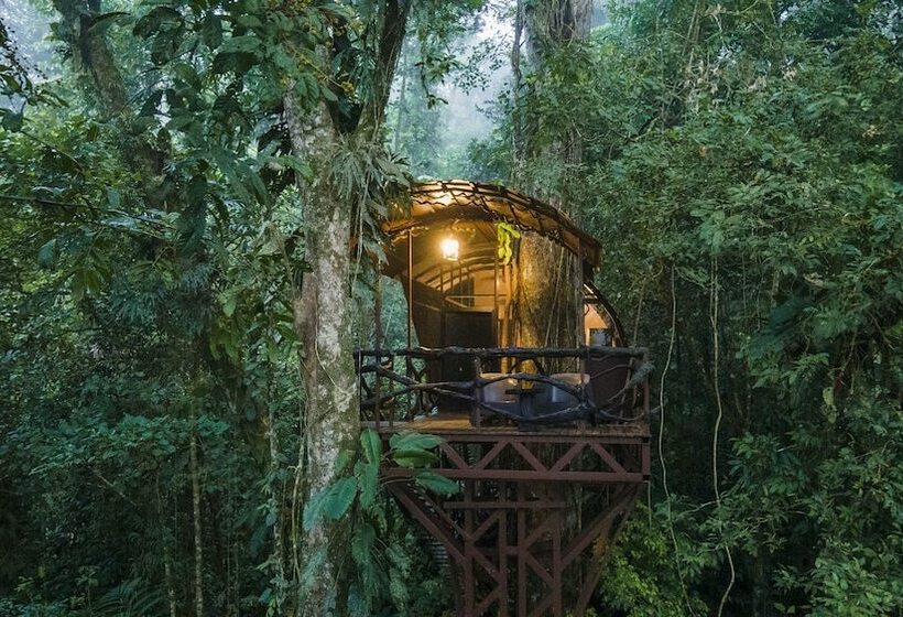 1间卧室的房子, Maquenque Ecolodge